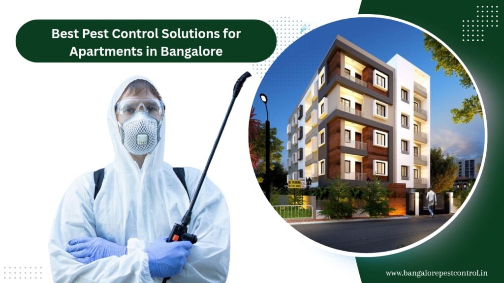 Best Pest Control Solutions for Apartments in Bangalore