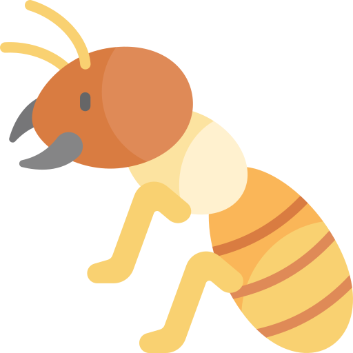 anti-termite-treatment-near-me anti-termite-treatment-near-me