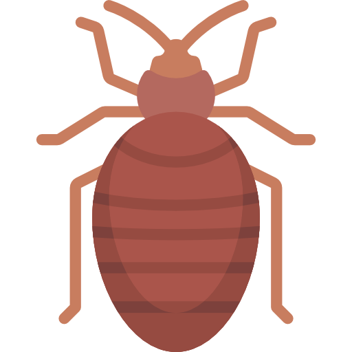 bedbug-control-near-me bedbug-control-near-me