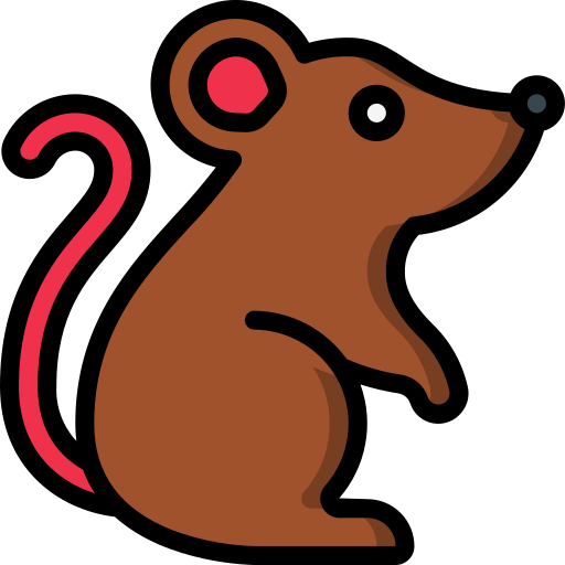 rat-control-near-me rat-control-near-me