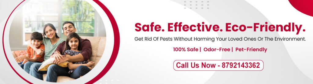 pest control service Bangalore
