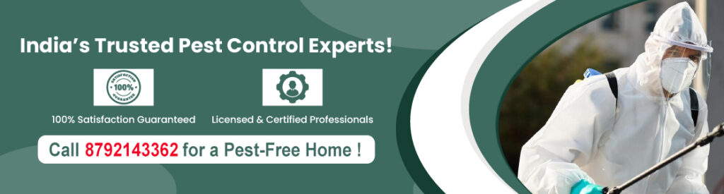 pest control service in Bangalore