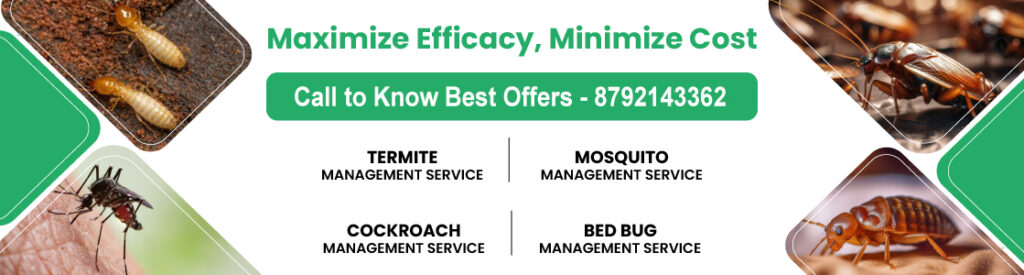 pest control service Bangalore